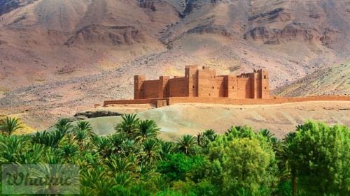 TimiderteKasbah_EN-US12300996987_1920x1080.jpg