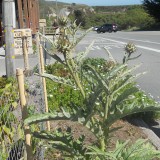 DSCN0635