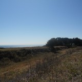 DSCN0645