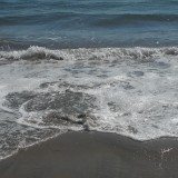 DSCN0660