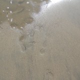DSCN0663