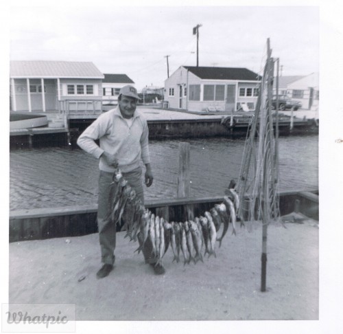 Image1.jpg