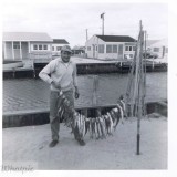 Image1