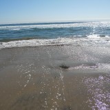 DSCN0670