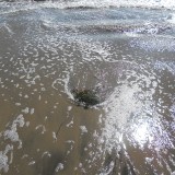DSCN0672