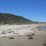 DSCN0673