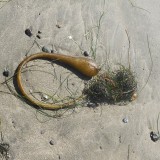 DSCN0676