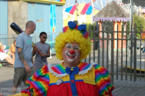 DSC 0913