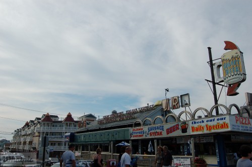 DSC 0982