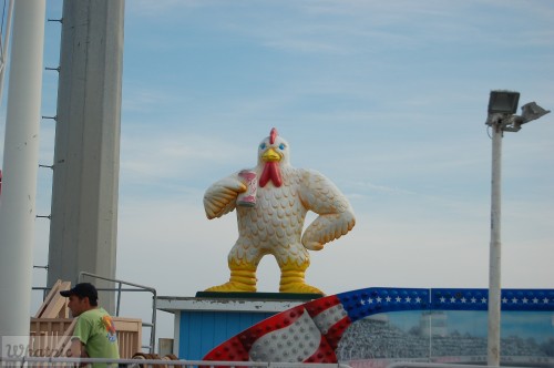 DSC 1044