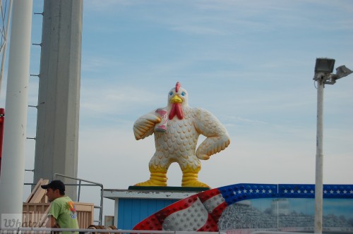 DSC 1045