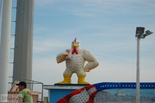 DSC 1047