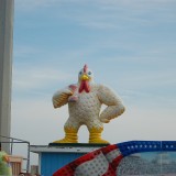 DSC_1047