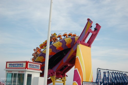DSC 1059