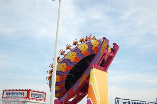 DSC_1061.jpg