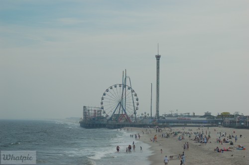 DSC_1066.jpg