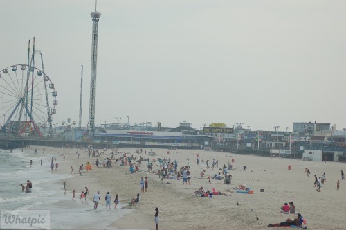 DSC_1081.jpg