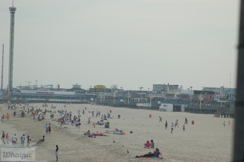 DSC_1082.jpg
