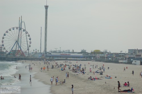 DSC_1084.jpg