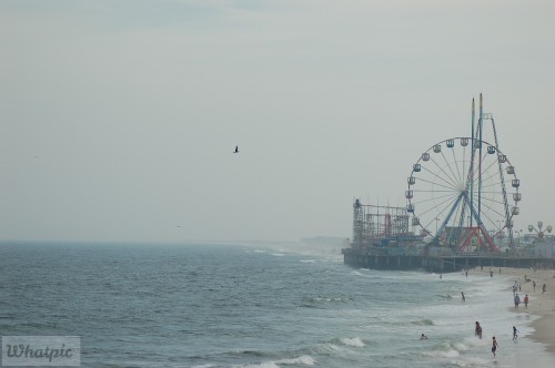 DSC_1089.jpg
