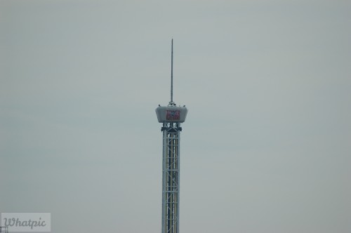 DSC_1102.jpg