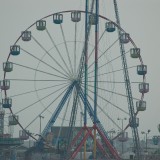 DSC_1103
