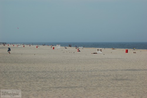 DSC_1176.jpg