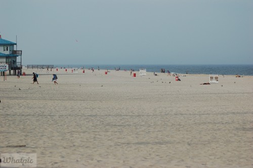 DSC_1177.jpg