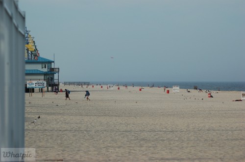 DSC_1178.jpg