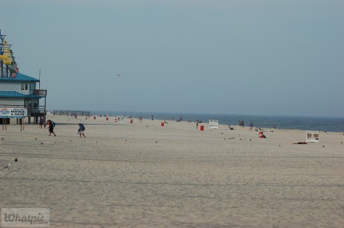 DSC_1179.jpg