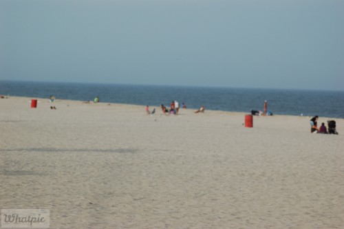 DSC_1180.jpg