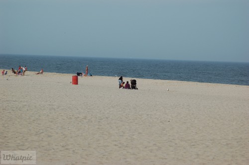 DSC_1183.jpg
