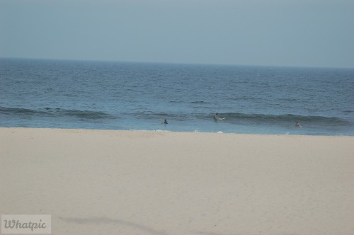 DSC_1202.jpg