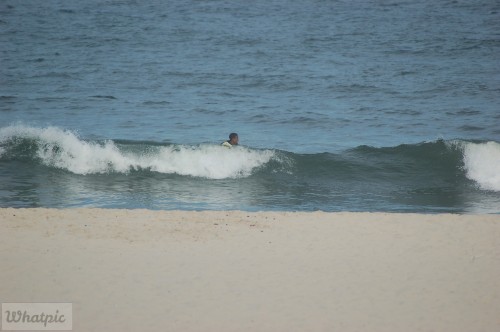 DSC_1204.jpg