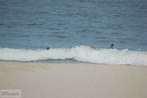 DSC_1206.jpg