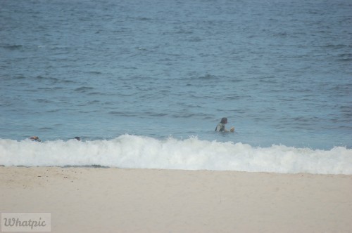 DSC_1207.jpg