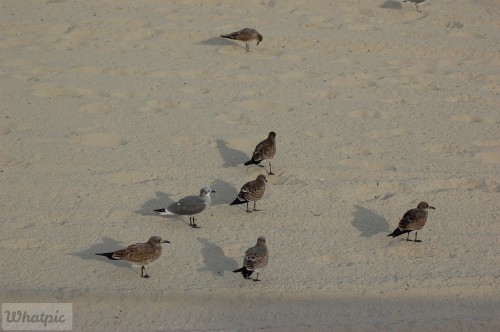 DSC_1228.jpg
