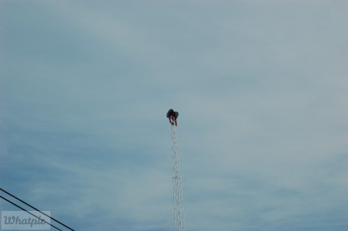DSC_1292.jpg