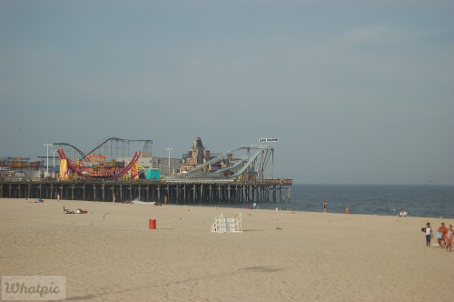 DSC_1313.jpg