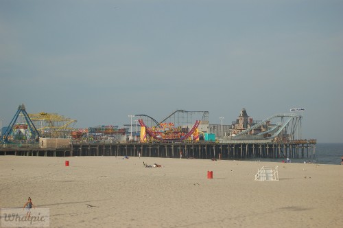 DSC_1316.jpg