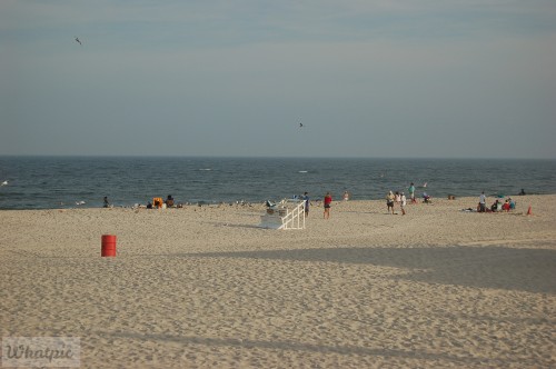 DSC_1320.jpg