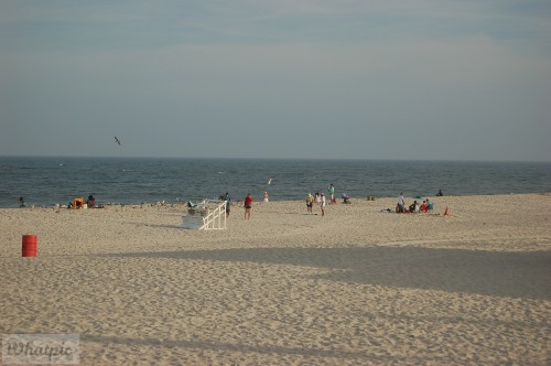 DSC_1321.jpg