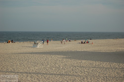 DSC_1323.jpg
