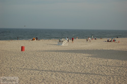 DSC_1324.jpg