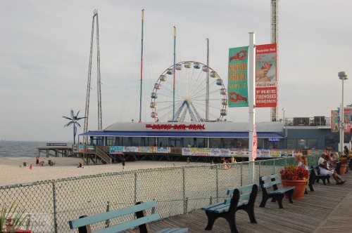 DSC_1338.jpg