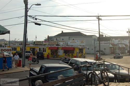 DSC_1351.jpg