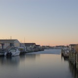 DSC_7452