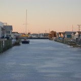 DSC_7464