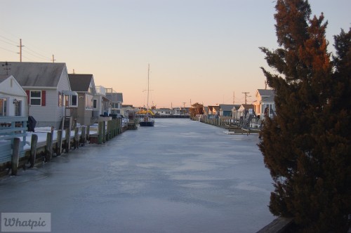 DSC_7465.jpg