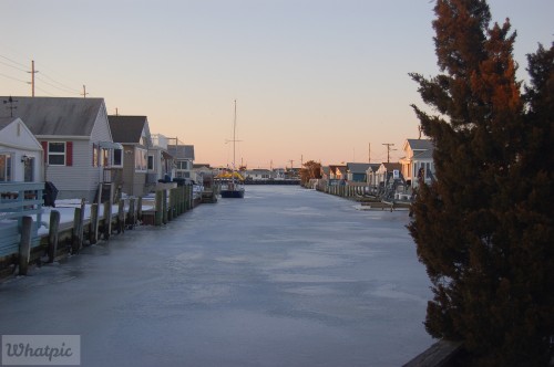 DSC_7466.jpg